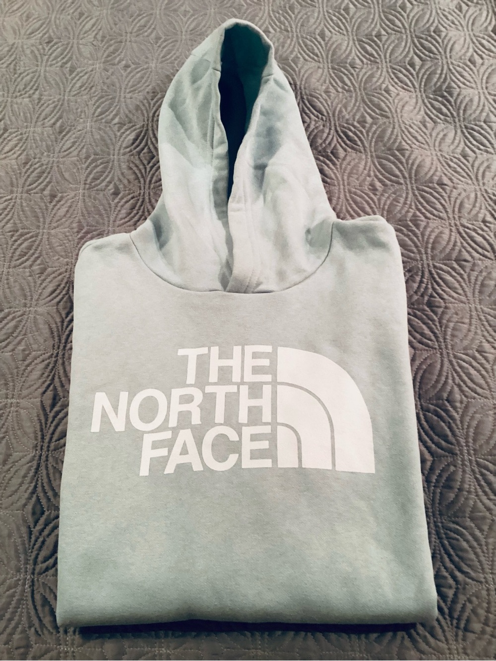 Teen Girls XL North Face Sweatshirt Hoodie Pale Blue White Graphic